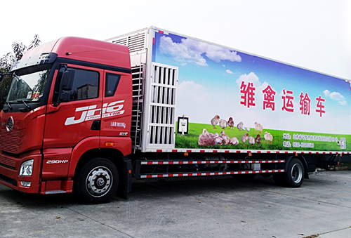 冰凌方混合倉雞苗車